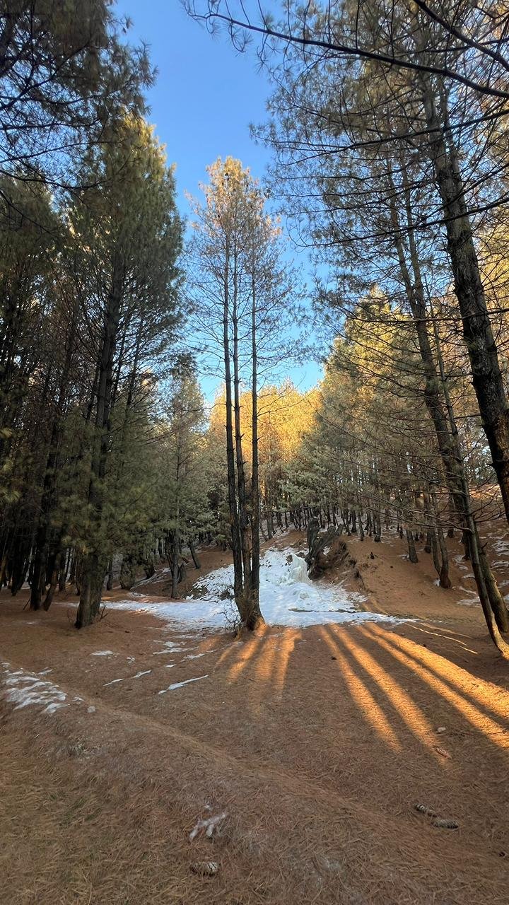 Seasonal view of Tangmarg landscape from Pear Meadows
