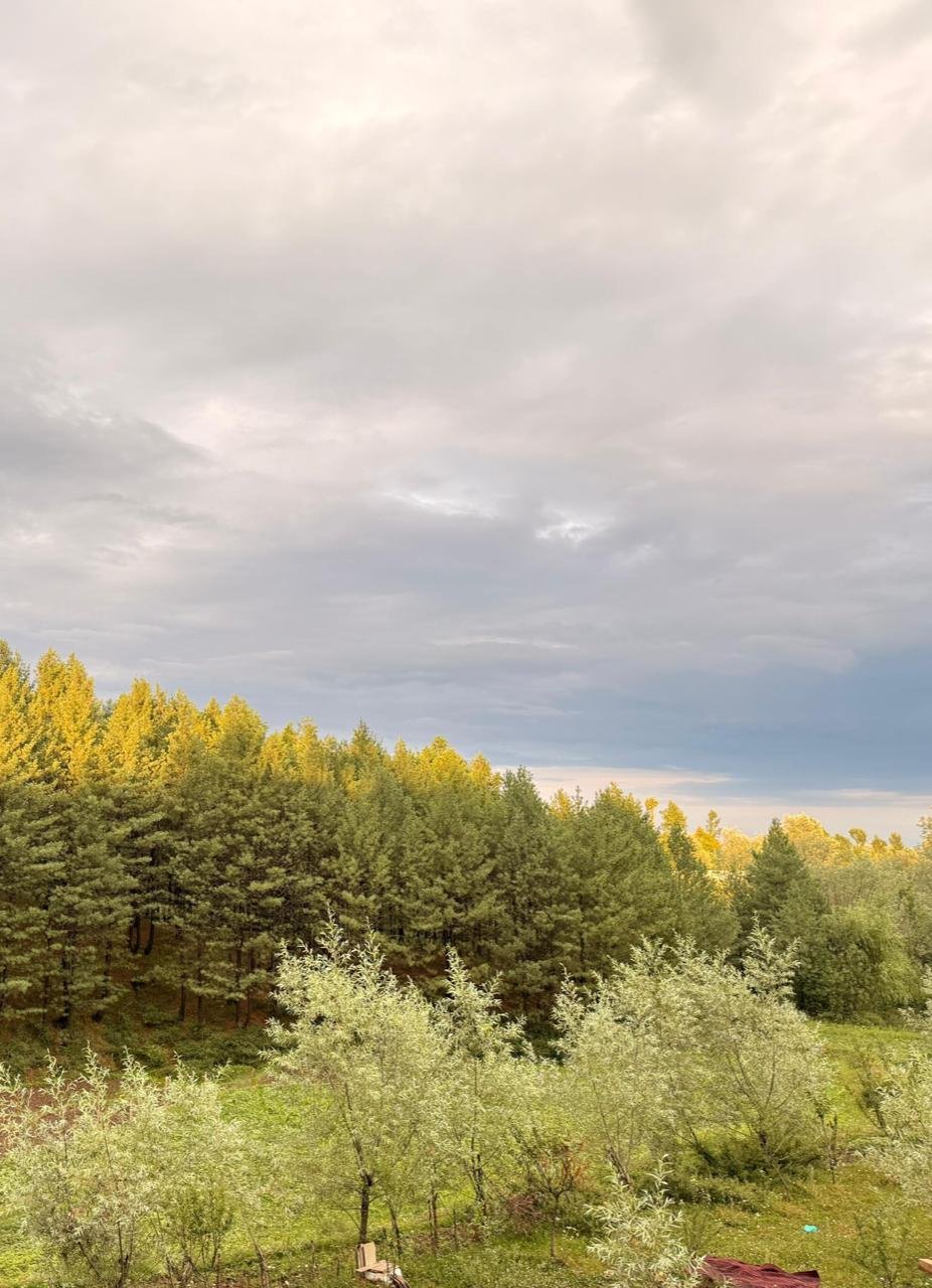 Complete property overview of Pear Meadows luxury cottage